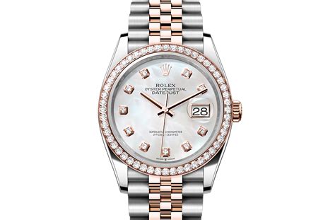 rolex 126281 rbr|Rolex 126231 everose.